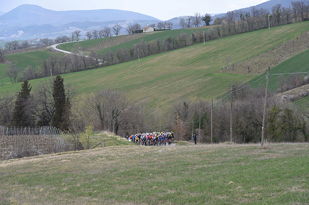 Peloton